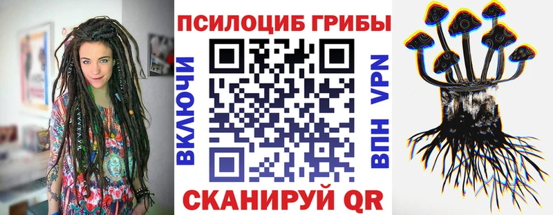 OMG ONION  Курчатов  Галлюциногенные грибы Psilocybine cubensis 