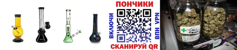 закладка  Курчатов  Шишки марихуана AK-47 